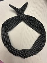 Black Swiss Dot