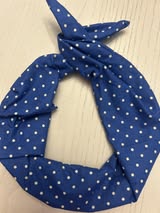 Blue Polkadot