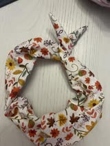 Fall Leaves & Acorns