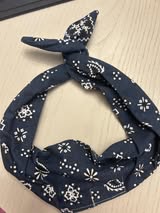 Blue Bandana