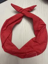 Red Swissdot